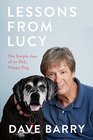 Lessons From Lucy: The Simple Joys of an Old, Happy Dog