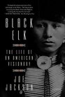 Black Elk The Life of an American Visionary