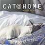 Cat  Home