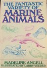 The fantastic variety of marine animals