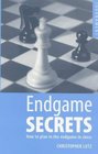 Endgame Secrets How to Plan in the Endgame in Chess