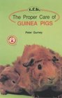 The Proper Care of Guinea Pigs