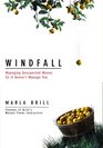 Windfall Managing Unexpected Money So It Doesn't Manage You