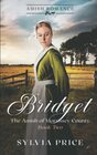 Bridget (The Amish of Morrissey County Book Two): An Amish Romance