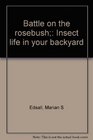 Battle on the rosebush Insect life in your backyard