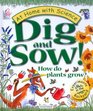 Dig and Sow How Do Plants Grow  Experiments in the Garden