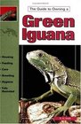 The Guide to Owning a Green Iguana