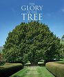 The Glory of the Tree An Illustrated History