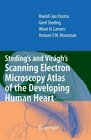 Steding's and Virgh's Scanning Electron Microscopy Atlas of the Developing Human Heart