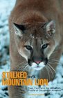 Stalked by a Mountain Lion Fear Fact and the Uncertain Future of Cougars in America