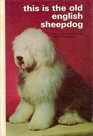 This Is the Old English Sheepdog