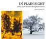 In Plain Sight: Seeing God's Signature throughout Creation