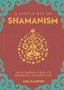 A Little Bit of Shamanism: An Introduction to Shamanic Journeying (Little Bit Series)
