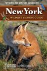 New York Wildlife Viewing Guide: Where to Watch Wildlife