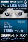 Siberian Husky Training  Think Like a Dogbut Don't Eat Your Poop Here's EXACTLY How To Train Your SIBERIAN HUSKY