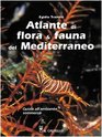 Atlante di flora  fauna del Mediterraneo