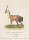 The Natural History of Unicorns