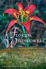 Florida Wildflowers A Comprehensive Guide