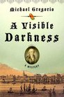 A Visible Darkness (Hanno Stiffeniis, Bk 3)