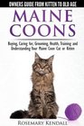 Maine Coon Cats  The Owners Guide from Kitten to Old Age  Buying Caring For Grooming Health Training and Understanding Your Maine Coon