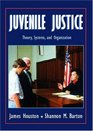 Juvenile Justice Theory Systems and Organization