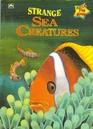 Strange Sea Creatures (Road to Reading)