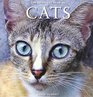 The Complete Book of Cats