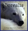 Borealis A Polar Bear Cub's First Year