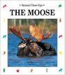 The Moose Gentle Giant