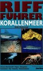 RiffFhrer Korallenmeer