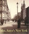 Mrs Astor's New York  Money and Social Power in a Gilded Age