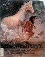 The Mud Pony