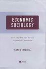 Economic Sociology State Market and Society in Modern Capitalism