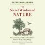 The Secret Wisdom of Nature Trees Animals and the Extraordinary Balance of All Living Things Stories from Science and Observation