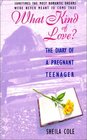 What Kind of Love The Diary of a Pregnant Teenager