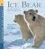 Ice Bear In the Steps of the Polar Bear