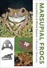 Marsupial Frogs Gastrothecaand Allied Genera