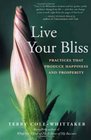 Live Your Bliss Practices That Produce Happiness and Prosperity