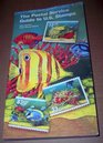 The Postal Service Guide to US Stamps 26th Edition