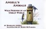 Angell's Animals  Wild Friends In An Urban World
