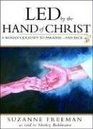 Led by the Hand of Christ A Woman's Journey to Paradiseand Back