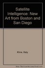 Satellite Intelligence New Art from Boston and San Diego