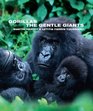Gorillas the Gentle Giants