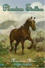 Mountain Mare (Phantom Stallion, Bk 17)