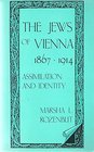The Jews of Vienna 18671914 Assimilation and Identity