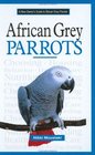 A New Owner's Guide to African Grey Parrots