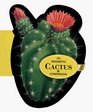 Magnetic Cactus Companion