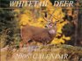 Whitetail Deer 2006 Calendar