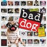 Bad Dog Wall Calendar 2009