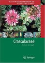 Illustrated Handbook of Succulent Plants: Crassulaceae